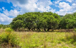 147 Gray Wolf, Blanco, TX 78606
