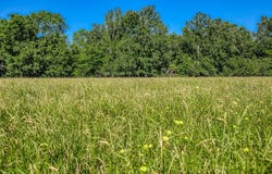 00000 Flat Prairie Road, Washington, TX 77880