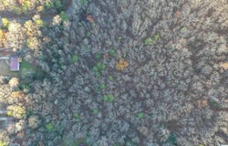 5688 BALBOA TERRACE lot: 1, PINSON, AL 35126
