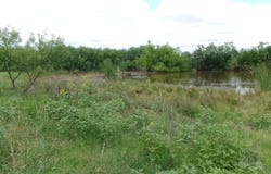 174 CR 182, Ovalo, TX 79541