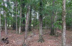 lovett Rd., Strong, AR 71765