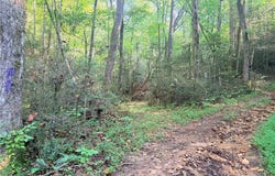 Buck Drive, Hays, NC 28649