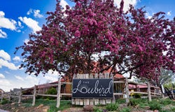 15 S 100 E, Escalante, UT 84726