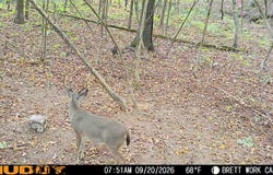 50.65+/- acres off SR 164 W, Dover, AR 72837