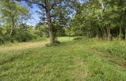 185 Sweet Ln, San Augustine, TX 75972