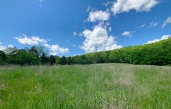 Farm Road 1280, Shell Knob, MO 65747