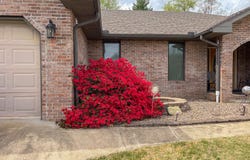 712 Kaitlin Dr, Mountain View, MO 65548