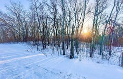 XXXXX German Lake Road, Underwood, MN 56586