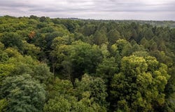Appletree Ridge, Manlius, NY 13104