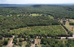 TBD Tract 1 Restful DR, Mulberry, AR 72947