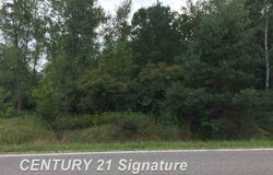 1166 E Freeland Road, Merrill, MI 48637