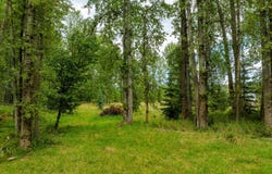 98 Dome Mountain Avenue, Libby, MT 59923