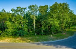 Moonlight Lane lot: Jf426, Jasper, TN 37347