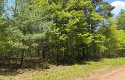 XXXXX Eagle Drive, Danbury, WI 54830