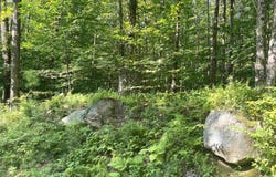 North Branch Road, Ripton, VT 05766