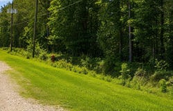 17th Avenue, Franklinton, LA 70438