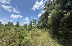 Peanut Road, Cottondale, FL 32431