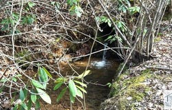 Old Hall Ridge Rd, Stuart, VA 24171