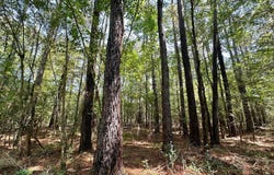 7 Forest Service Road 562, Pulaski, MS 39152