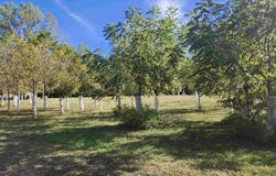 Perkins Drive, Boonville, IN 47601