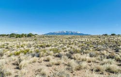County Rd 104, San Luis, CO 81152