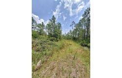Wildcat Road, Perry, FL 32348