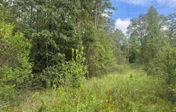 22290 Old Hwy 49, Saucier, MS 39574