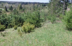 S 39 Road, Cadillac, MI 49601