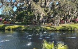 795 County Rd 1, Palm Harbor, FL 34683