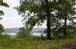 Cliffside Drive lot: 8-12, Galena, MO 65656