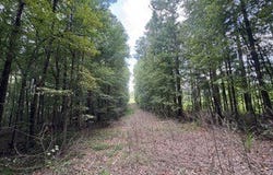 18 County Road 48, Ranburne, AL 36264