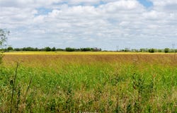Private Lane, Hawley, TX 79525