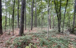 Eastside Drive, Newton, MS 39345