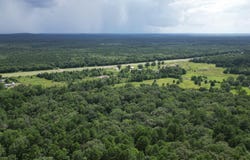 CR 3836, Hawkins, TX 75765
