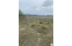 CR 3217, Atlanta, TX 75551