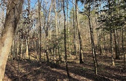 Co rd 30, AL 35586