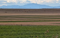 HARVEY RD, Wheatland, WY 82201
