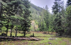 NNA Silver Ave, Bayview, ID 83803