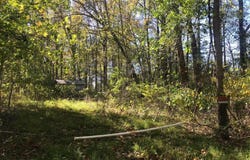 8305 TELEGRAPH, LORTON, VA 22079