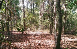 Joiner Road, Batesville, MS 38606