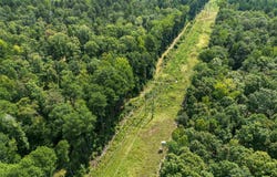 Elkins, White Hall, AR 71602
