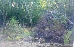 498 D Chavarra Rd, Eagle Pass, TX 78852