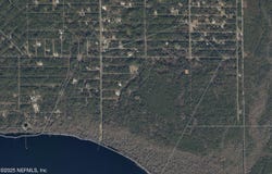 234 LAISY Drive, Georgetown, FL 32139