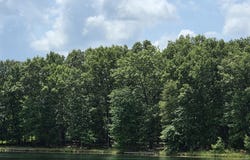 132 Camp Creek Circle, Spencer, TN 38585