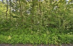 Meander Way, Garrison, MN 56450