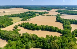 BOYLAND Way, Unincorporated, TN 38049