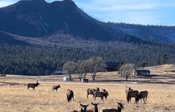 3 County Road N2261, Alpine, AZ 85920