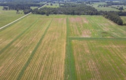 State Highway Ff, Caulfield, MO 65626