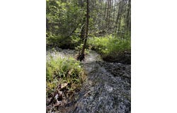 Fuller Road, Newbury, VT 05051