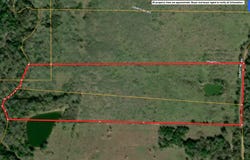 FCR 971, Mexia, TX 76667